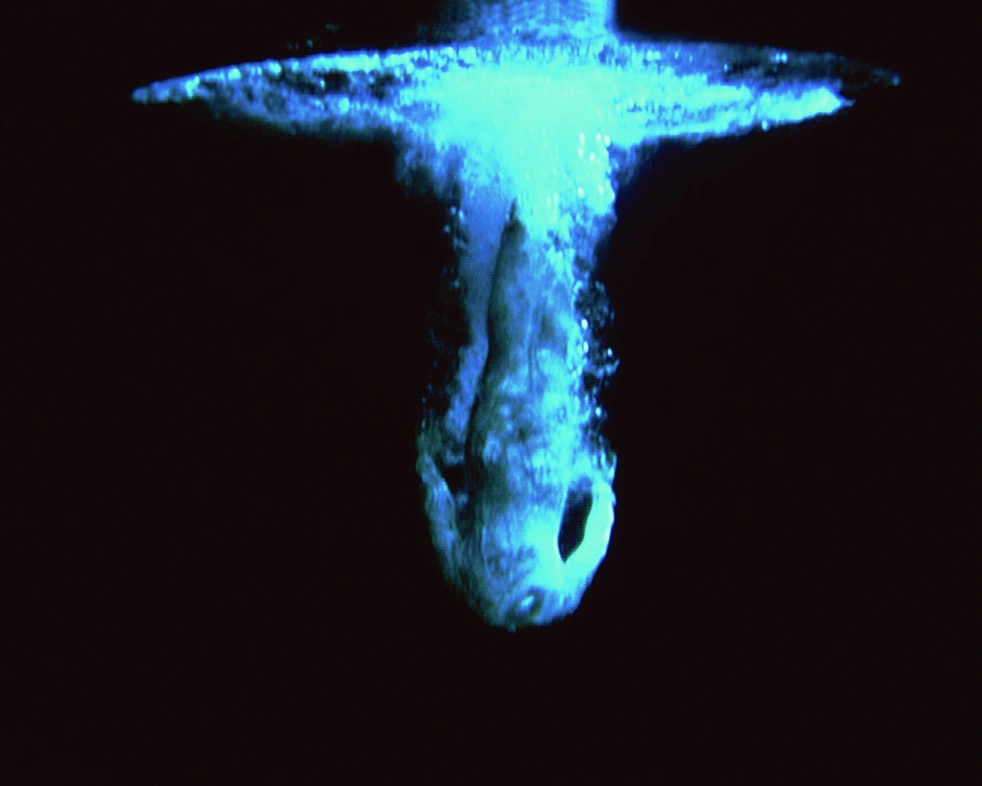 Bill Viola, Five Angels for the Millenium, 2001. Femkanals farvevideoprojektion; stereo. Courtesy ARoS